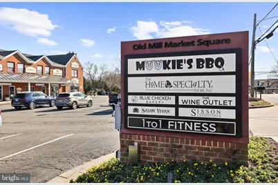 10225 Forest Lake Drive, Great Falls, VA 22066 - Photo 104