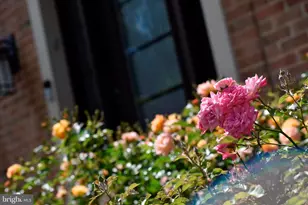 5408 Heatherford Ct, Fairfax, VA 22030 - Photo 8