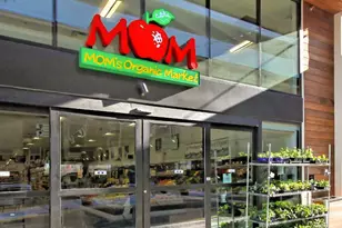 7746 New Providence Dr, Falls Church, VA 22042 - Photo 42