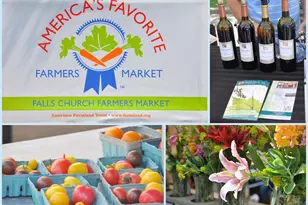 7746 New Providence Dr, Falls Church, VA 22042 - Photo 56