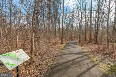 7205 Gentian Court, Springfield, VA 22152 - Photo 38