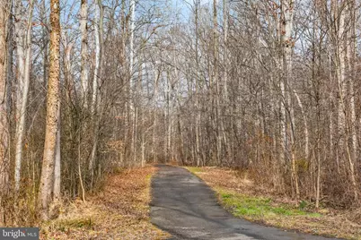 7205 Gentian Court, Springfield, VA 22152 - Photo 36