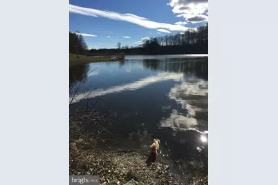 5342 Guinea Road, Fairfax, VA 22032 - Photo 56