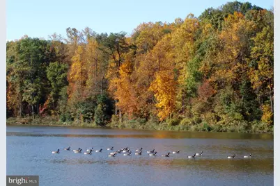 5342 Guinea Road, Fairfax, VA 22032 - Photo 50