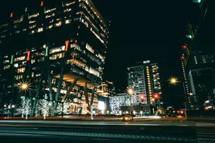 2037 Royal Fern Ct, Reston, VA 20191 - Photo 44