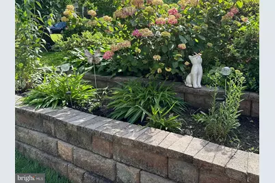 2519 Buckelew Drive, Falls Church, VA 22046 - Photo 30