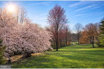 6127 Donival Square, Alexandria, VA 22315 - Photo 2
