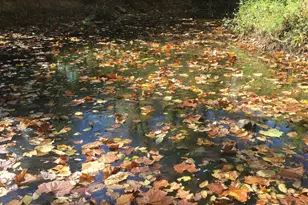 1326 Stourhead Ct, Herndon, VA 20170 - Photo 60