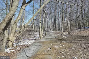 5902 Cove Landing Rd, Burke, VA 22015 - Photo 36