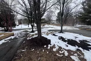 8110 Meadow Springs Ct, Vienna, VA 22182 - Photo 34