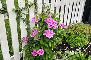 2201 Harvard Dr, Alexandria, VA 22307 - Photo 34