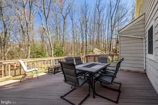 977 Redberry Ct, Great Falls, VA 22066 - Photo 36