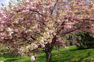 6319 Fenestra Ct, Burke, VA 22015 - Photo 50