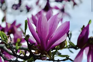 1580 Spring Gate Dr., McLean, VA 22102 - Photo 32