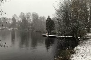 1831 Beulah Rd, Vienna, VA 22182 - Photo 94