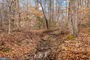 5500 Beech Ridge Dr, Fairfax, VA 22030 - Photo 66