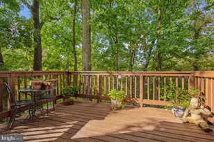 6542 Hitt Ave, McLean, VA 22101 - Photo 20