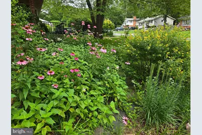 2410 Drexel Street, Vienna, VA 22180 - Photo 8