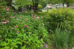 2410 Drexel St, Vienna, VA 22180 - Photo 30