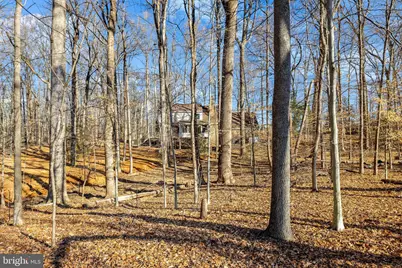 9982 Blackberry Lane, Great Falls, VA 22066 - Photo 40