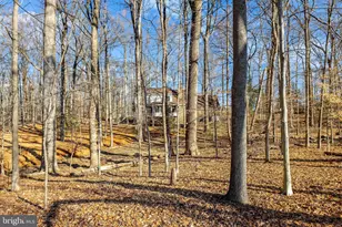 9982 Blackberry Ln, Great Falls, VA 22066 - Photo 40