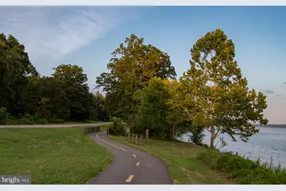 8007 Noel Street, Alexandria, VA 22309 - Photo 52