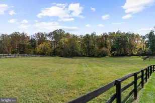 1207 Towlston Rd, Great Falls, VA 22066 - Photo 72