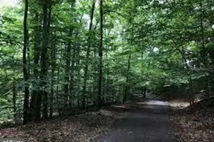 3518 Ellery Cir, Falls Church, VA 22041 - Photo 54