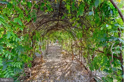 8340 Greensboro Drive #118, McLean, VA 22102 - Photo 48