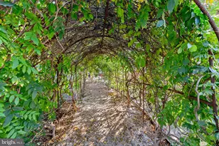 8340 Greensboro Dr, McLean, VA 22102 - Photo 48