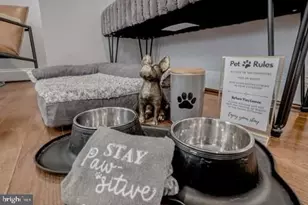 5812 N Kings Hwy, Alexandria, VA 22303 - Photo 10