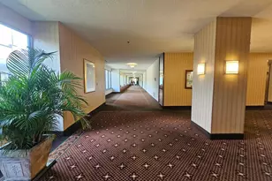 3709 George Mason Dr S, Falls Church, VA 22041 - Photo 12