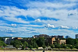 3709 George Mason Dr S, Falls Church, VA 22041 - Photo 4