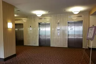 3709 George Mason Dr S, Falls Church, VA 22041 - Photo 2