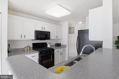 7515 NE Snowpea Court NE #163, Alexandria, VA 22306 - Photo 10