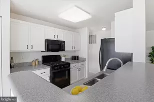 7515 NE Snowpea Ct NE, Alexandria, VA 22306 - Photo 10