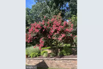 7003 Polins Court, Alexandria, VA 22306 - Photo 1