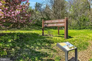 7003 Polins Ct, Alexandria, VA 22306 - Photo 56