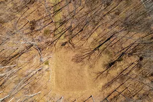 12650 Popes Head Rd, Clifton, VA 20124 - Photo 68