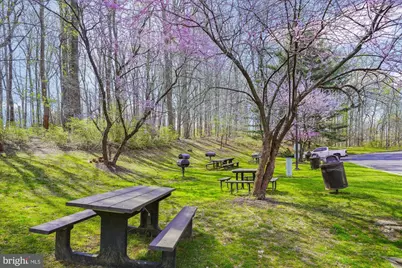 2230 George C Marshall Drive #904, Falls Church, VA 22043 - Photo 24