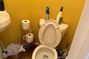 6332 Robert Todd Ct, Alexandria, VA 22312 - Photo 50