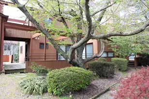 6872 Melrose Dr, McLean, VA 22101 - Photo 56