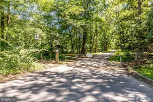 3733 Roxbury Ln, Alexandria, VA 22309 - Photo 46