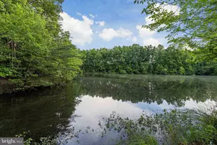 6618 Hunter Creek Ln, Alexandria, VA 22315 - Photo 74