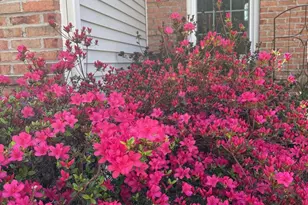 8004 Hollington Pl, Fairfax Station, VA 22039 - Photo 2