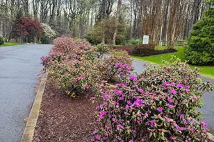 5605 Smoke Rise Ln, Fairfax Station, VA 22039 - Photo 4