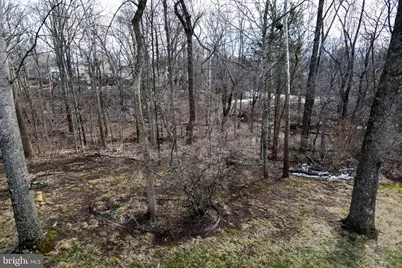 4407 Galesbury Lane, Chantilly, VA 20151 - Photo 64