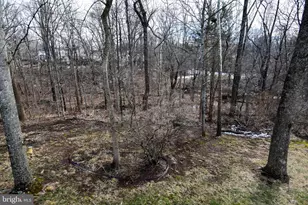 4407 Galesbury Ln, Chantilly, VA 20151 - Photo 64