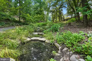 5903 Mt Eagle Dr, Alexandria, VA 22303 - Photo 88