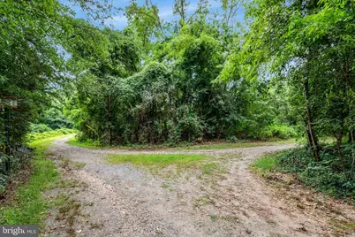 6111 Wigmore Lane #F, Alexandria, VA 22315 - Photo 34